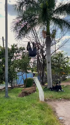 Mañana marcamos Historia  Parkour Honduras 🇭🇳  #parkourhonduras #parkourgymnastic #parkourkids #parkourcalle #parkourhn 