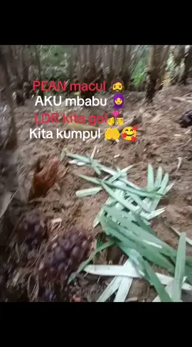 #pmihongkong🇭🇰🇮🇩 #jawatengah #wonosoboasri #
