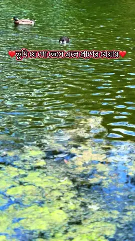 বিনিয়োগ ছাড়া কি বিনিময় হয় ….?