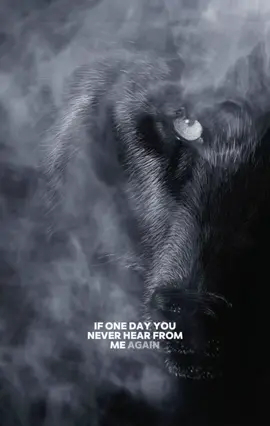 #fyp #wolves #sinful_wolfdesigns #motivation #stawolfpack 