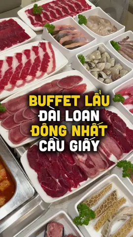 Nếu quá trình tiến hoá của loài người chậm hơn một chút, rất có thể bạch tuộc sẽ thống trị thế giới #suthatla #funfact #dongvat #buffet #u40angi 