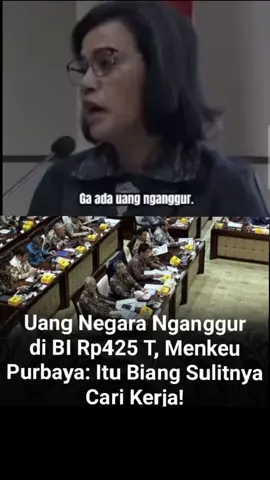 #srimulyani #menkeu  #purbayayudhisadewa  #foryoupage 