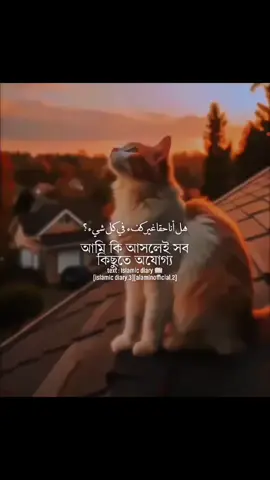 #creatorsearchinsights #কপি_লিংক_করো_৩_বার_others_গিয়ে #creatorsearchinsights #কপি_লিংক_করো_৩_বার_others_গিয়ে #creatorsearchinsights 