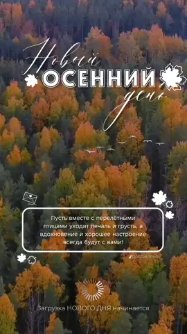 #отличногонастроения #сторис #новыйдень🌹 #осень 