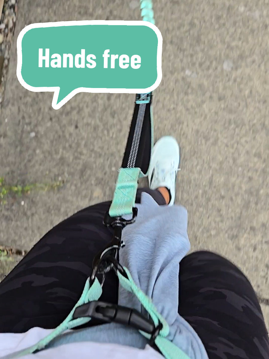 Replying to @stoned_duckHands free is the way to go. #dogmomlife #handsfree #dogleash #dogwalking #tiktokshopcreatorpicks 