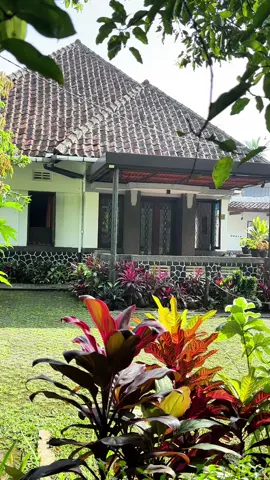 pov: sabtu pagi di Bandung 🌴🌸🌿 #bandung #bandunghits #bandungbanget #rumahbelanda #fyp 