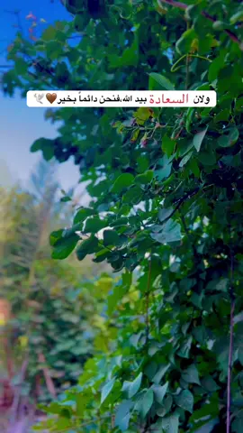 🤎🤎#تصميم_فيديوهات🎶🎤🎬 #الطبيعه_اجمل_شي_للراحه_النفسيه #صباحيات #ترند #متابعه 