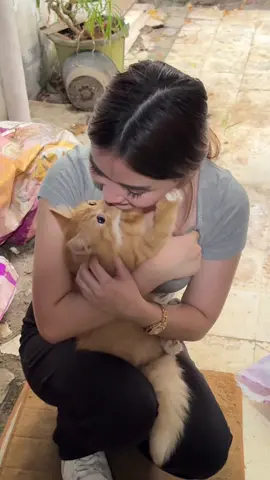 met my soulmate at the shelter 🥹🧡 he's so excited to be adopted 😭 (i did) #fyp 