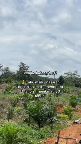 #petanisawit🌴 #sawitkalimantan #petanisukses 