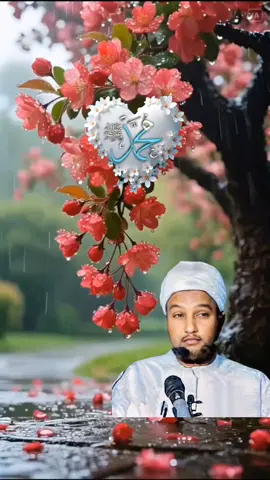 #fypシ゚ #wuxuu nabigu yiri#fypシ゚ #daaci_M #Qalinle #fyppppppppppppppppppppppp #viralvideo #somalitiktok2025 #allahuakbar #viralvideos #fypシ゚Scw #viral #fypシ゚ 