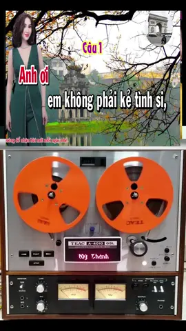 #tiktokawadsvn2025🎸🎻 🪕.           #cailuongvietnam🇻🇳🇻🇳🇻🇳🇻🇳 