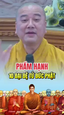 Phẩm hạnh 10 đại đệ tử của Đức Phật Thích Ca #thichphaphoa #thayphaphoa #suutamphapthoai #tuehung #phapthoai 