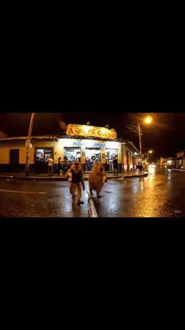Andaba  de parranda#monitoGT #guatemala_502 #veo3 #capibara 