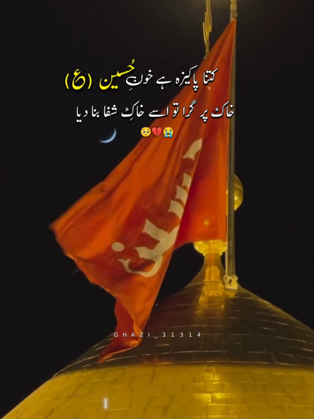 کتنا پاکیزہ ہے خون حسین علیہ سلام خاک پر گرا تو اسے خاکِ شفا بنا دیا🥺💔😭 #hussain💔🥺  #moulaimamhussainstatus  #hyehussainع💔😭  #karbala_karbala  #khakeshefakarbala  Karbala Karbala 💔 Imam hussain poetry 🥀