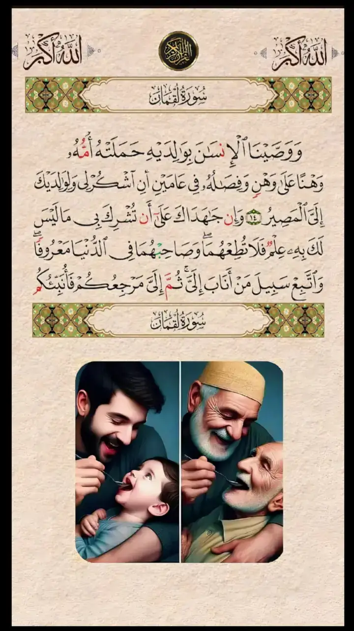 ووصينا الانسان بوالديه#قران_كريم #قران 