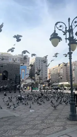 ولِد في مكه ف أصبحت مكرمه ،وهاجر إلي المدينة ف أصبحت منوره، ودخل قلوبنا ف أصبحت مطهره ف صلو عليه ❤️🫰🏻🌹 #المنشد_احمد_حسن_الاقصري  #مسجد_رسول_الله #بيت_الله_الحرام #تصويري #اشتقت 