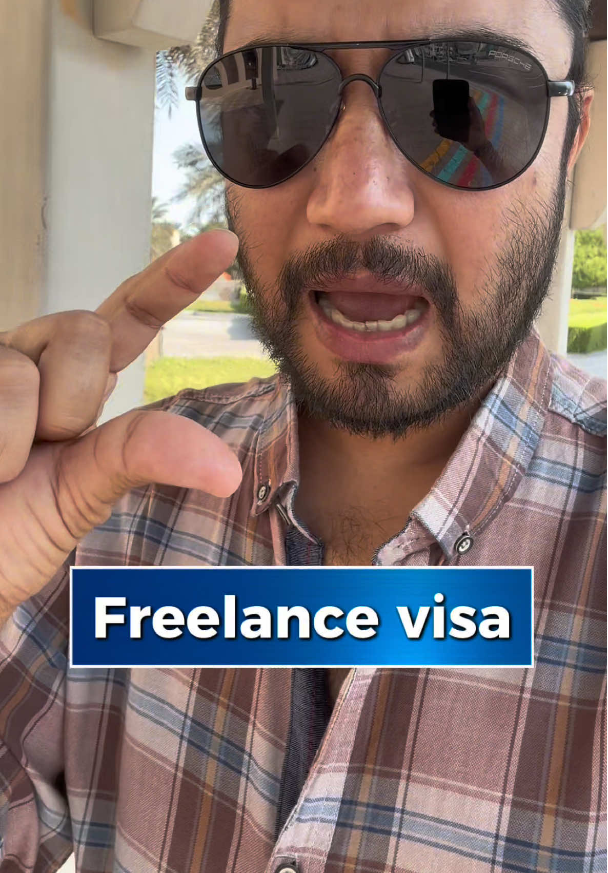 Freelance visa bad sides information. 