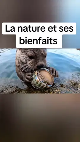 #pourtoi #lune2lhumour 