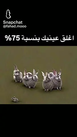 #اكسبلورررررررررررررررررررر💥🌟💥🌟💥💥🌟🌟🌟🌟🌟__ 