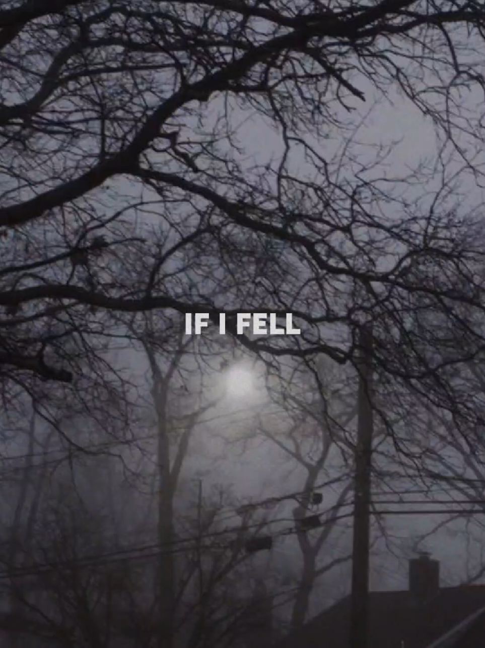 #ififell #thebeatles 