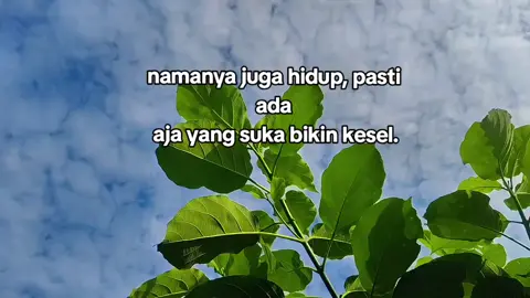 Iya kan bener  😐 #fyp #masukberanda #sempurna #nature #foryoupage 