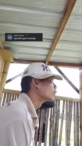 soundnya bikin candu 👌#viral #fyp #foryou #foryoupage #trending 