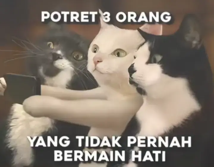 setia abis🤩#bertiga #teman #sahabat #sekolah #fyp