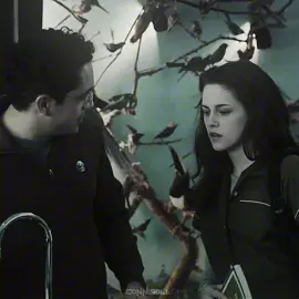 #edit #recommendations #fyp #twilight #сумерки 