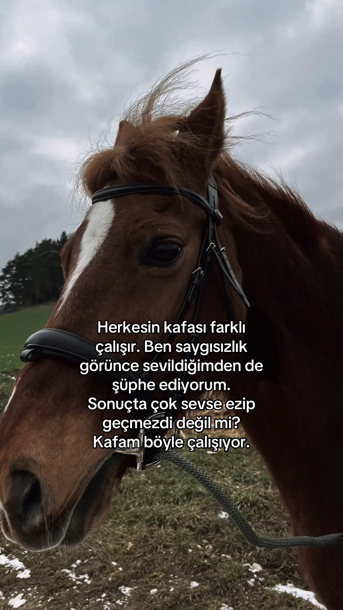 #beniöneçıkart #onecikarttiktok 