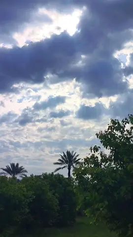 محد شافني يدليني وين اناا...😞💔#قناتي_تليجرام_بالبايو💕🦋 