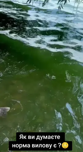#CerealCerdik  підписуйся 😆 якщо хоть колись ловив скільки судака 😂#fishing #активнийвідпочинок🏕 #fishingtikt #судак 