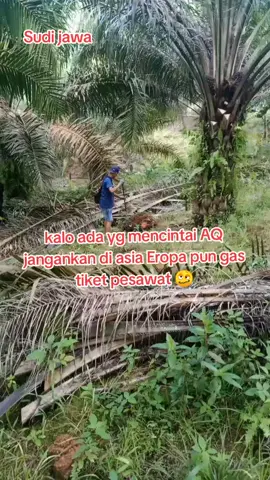 Sudi jawa #sawitontiktok  #sudiyono  #fy #semuaorang  #semuabisaditiktok 