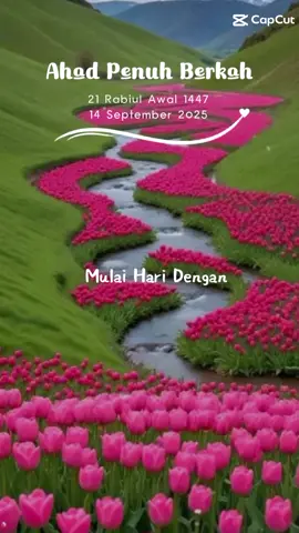 Assalamu'alaikum Warahmatullahi Wabarakatuh 🌹❤ #bismillahfyp # #ahadberkah # #CapCut #