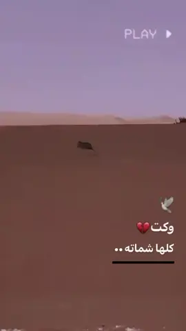 #وكت كلها شماته
