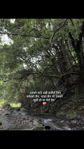 “उसको ठाउँ अझै कसैले लिन सकेको छैन, थाहा छैन यो उसको खुबी हो या मेरो प्रेम”❤️‍🩹 #fyp #fypツ 