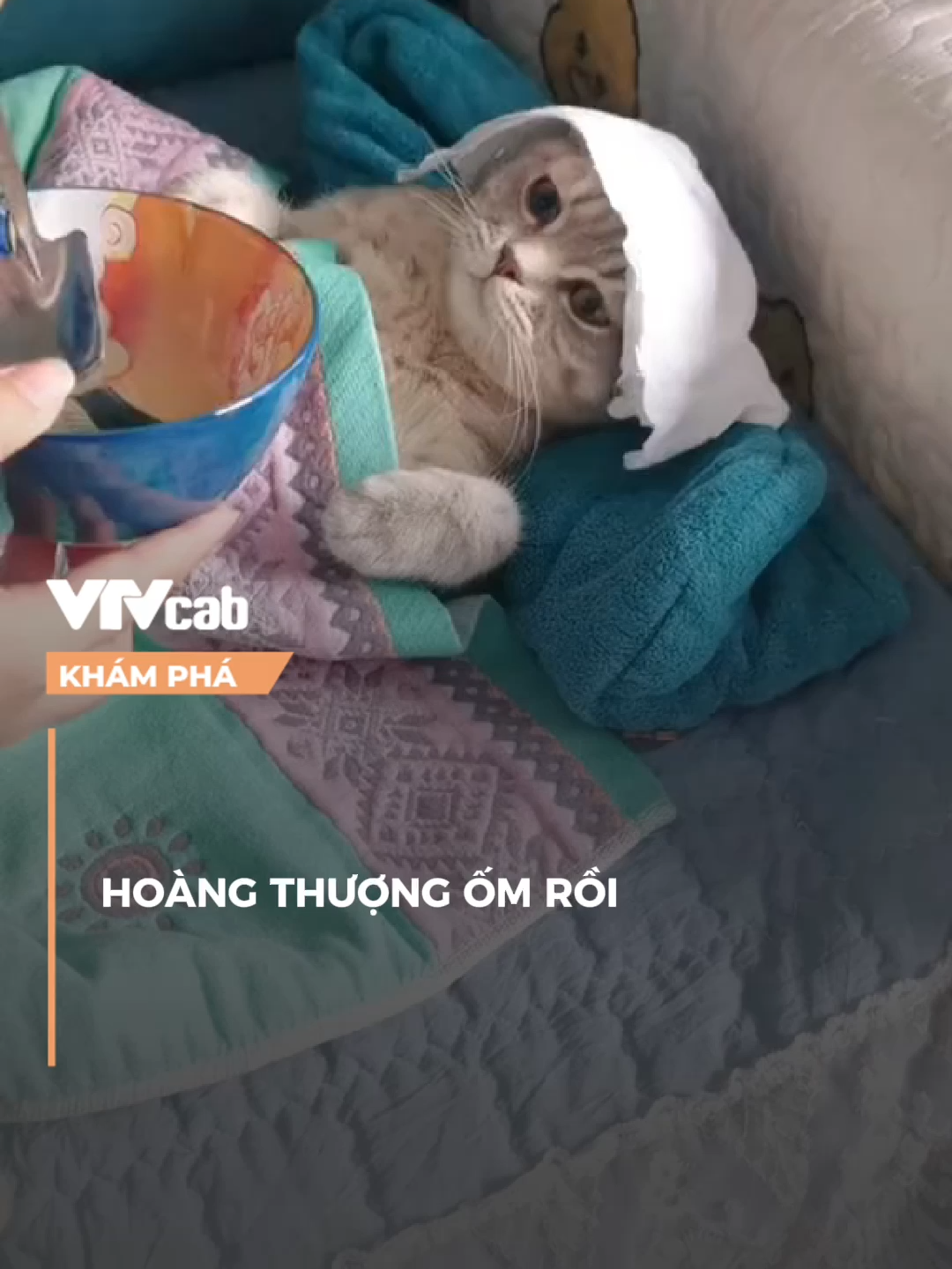 hoàng thượng nay ốm rồi  #vtvcab #khampha #vtvcabkhampha #online #nvh
