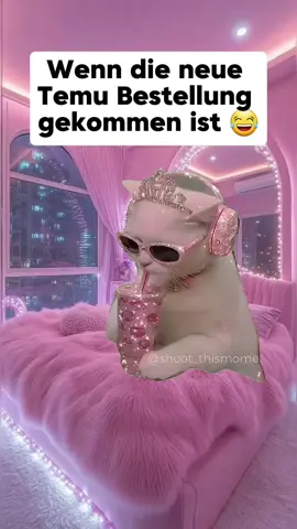 Sind schon dolle sachen dabei 😂 #CapCut #gutenmorgen #fyp #temufinds #fffffffffffyyyyyyyyyyypppppppppppp 