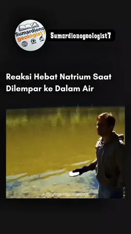 Pernahkah kamu membayangkan betapa dahsyatnya reaksi natrium ketika bersentuhan dengan air? Dalam video ini, kita menyaksikan momen menegangkan saat logam natrium menyentuh permukaan air dan langsung bereaksi hebat! Reaksi ini terjadi karena natrium (Na) bereaksi cepat dengan air (H₂O) menghasilkan natrium hidroksida (NaOH) dan gas hidrogen (H₂). Gas hidrogen yang mudah terbakar ini kemudian memicu ledakan kecil di permukaan air. Fenomena ini bukan hanya spektakuler, tetapi juga memperlihatkan keindahan sekaligus bahaya kimia dasar. 🌊⚡ #EksperimenSains #ReaksiKimia #FenomenaAlam #IlmuPengetahuanSeru #SainsMenakjubkan 