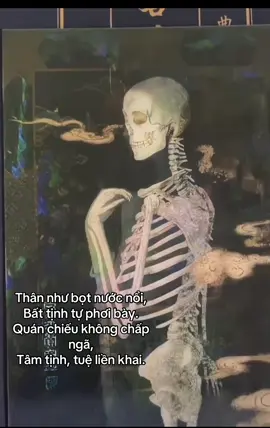 Thân này vốn bất tịnh, chỉ là đất nước gió lửa hợp thành. Tóc, da, máu, mủ… đều ô uế, không có chi thanh tịnh. Sống nhờ một hơi thở, dứt hơi liền thành tử thi. Quán như thế để thấy rõ vô thường, dứt tham luyến sắc thân, tâm liền nhẹ nhàng, trí tuệ liền sáng. Thân như bọt nước nổi, Bất tịnh tự phơi bày. Quán chiếu không chấp ngã, Tâm tịnh, tuệ liền khai.#nammobonsuthichcamauniphat #chanhphap #phatphapnhiemmau #phatphap 