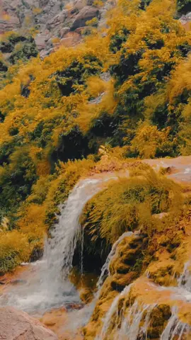 واہ rata دا یو حقیقت را اوہاو 🍂