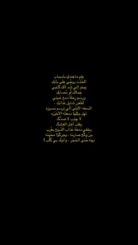 #لطميات_حسينيه #tiktok #fyp #viral  🌪️