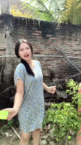 Mau panen cabe belakang rumah 😂