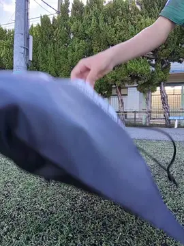 アクロス3もいいね #football #asmr #fyp 