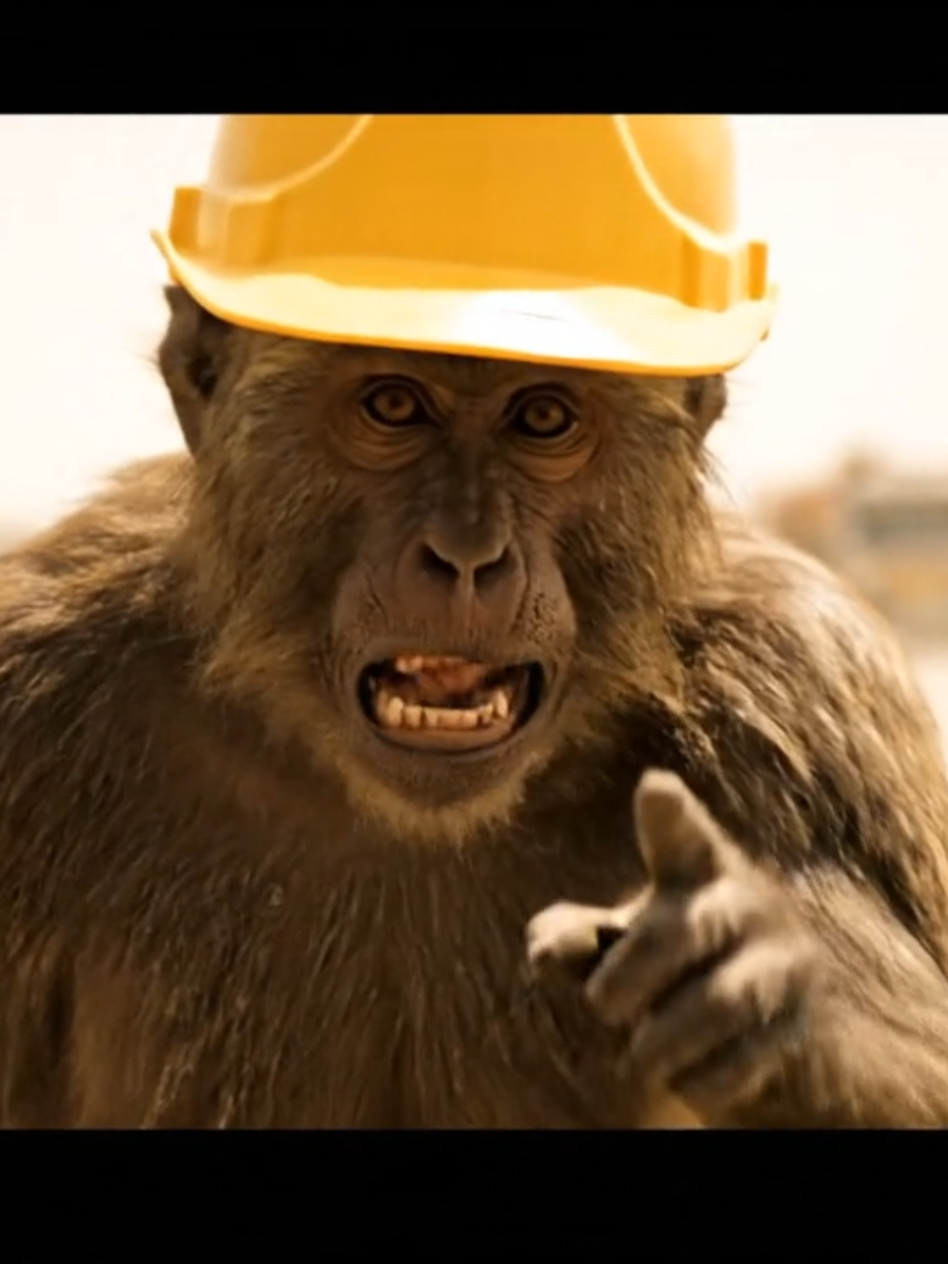 #NavedBandar #BandarKiBaat #AngryMonkey #ConstructionLife #DohaLife  