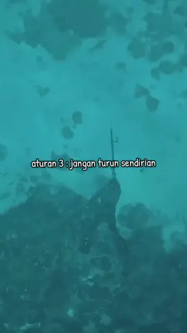 ini yang paling sering terjadi dan sebenarnya haram seorang spearo turun sendirian, sudah banyak kejadian korban meninggal dunia akibat melakukan spearfishing sendirian..  #spearfishing #fyppppppppppppppppppppppp 