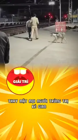 Kẻ xấu sẽ phải trả giá #meme #haihuoc #giaitri #viral #trending 