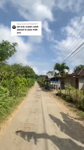 Membalas @fikimpin571  sisa kemarin terlihat sejuk kehidupan di pedesaan 🥰
