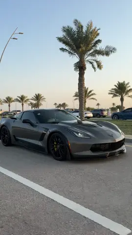 @ععّروب🥇 الله يبارك لك🤍🤍. #اكسبلور #explore #الهاشتاقات_للشيوخ #كورفيت #الراكه 