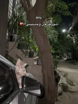 #زهران_عمل_موف_اون 