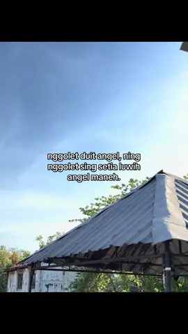 #fyp #viral #trending #jowostory #bismillahfyp 